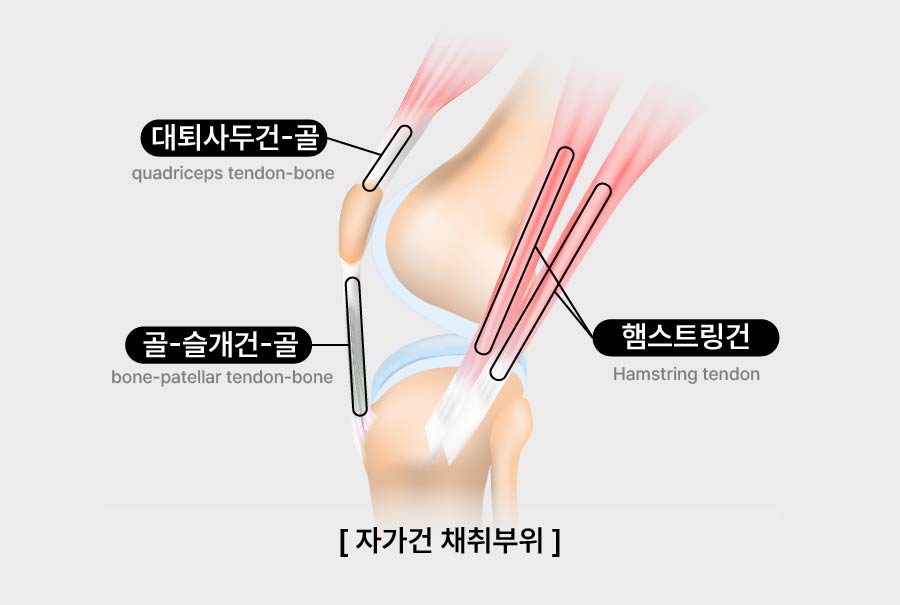 m cm 대지 1 사본 2