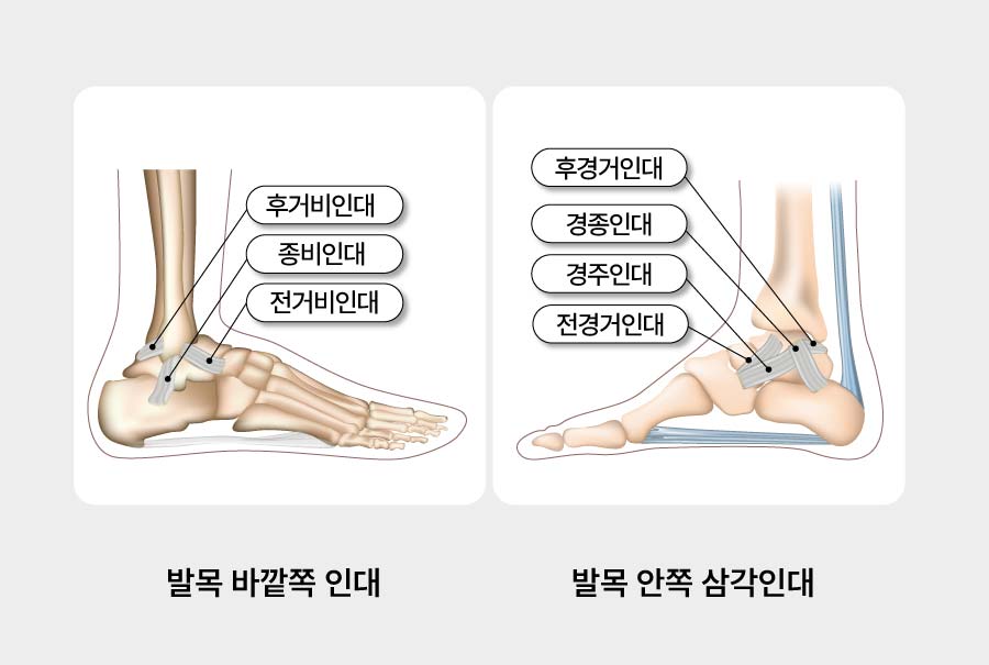 re발목인대손상 2 mbo1