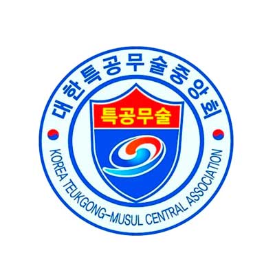 대한특공무술